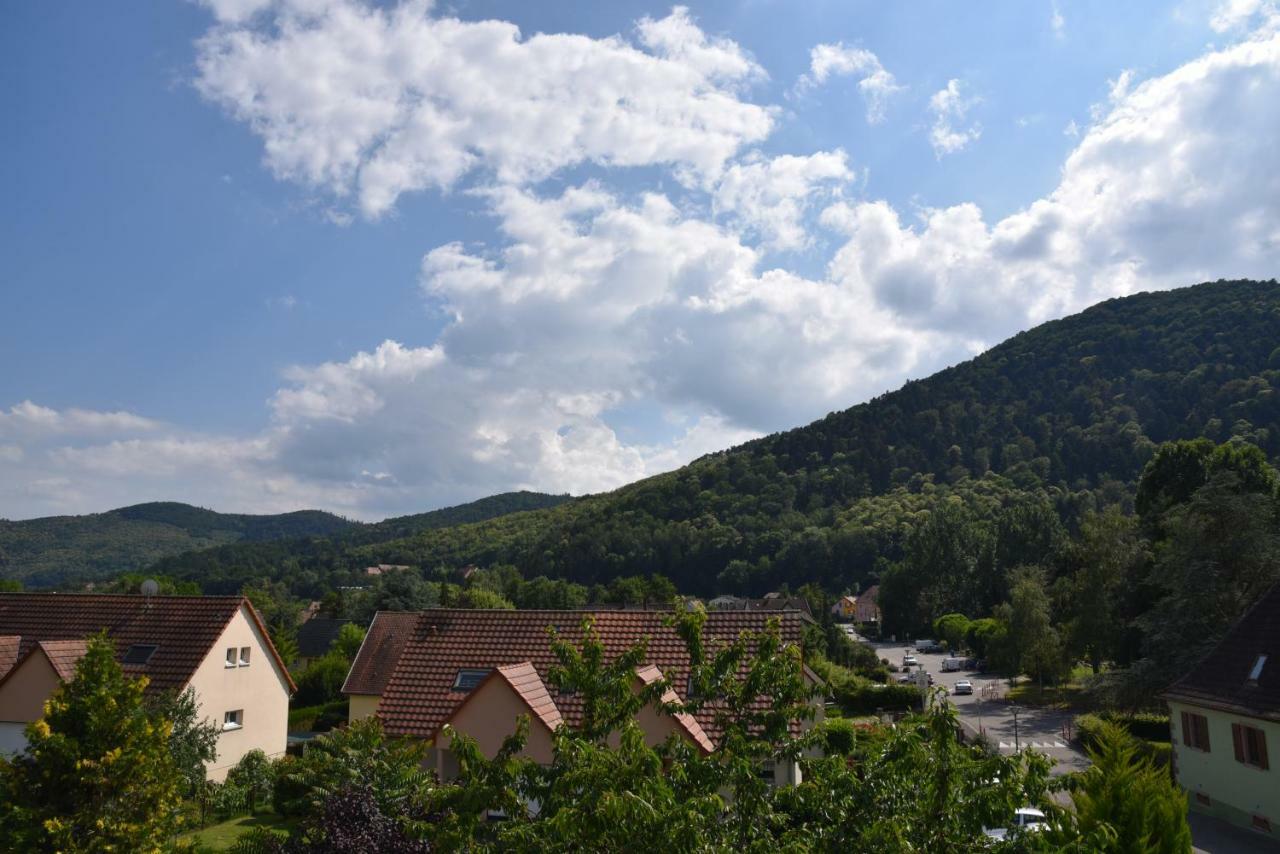 Le Cerisier Villa Kaysersberg-Vignoble Екстериор снимка