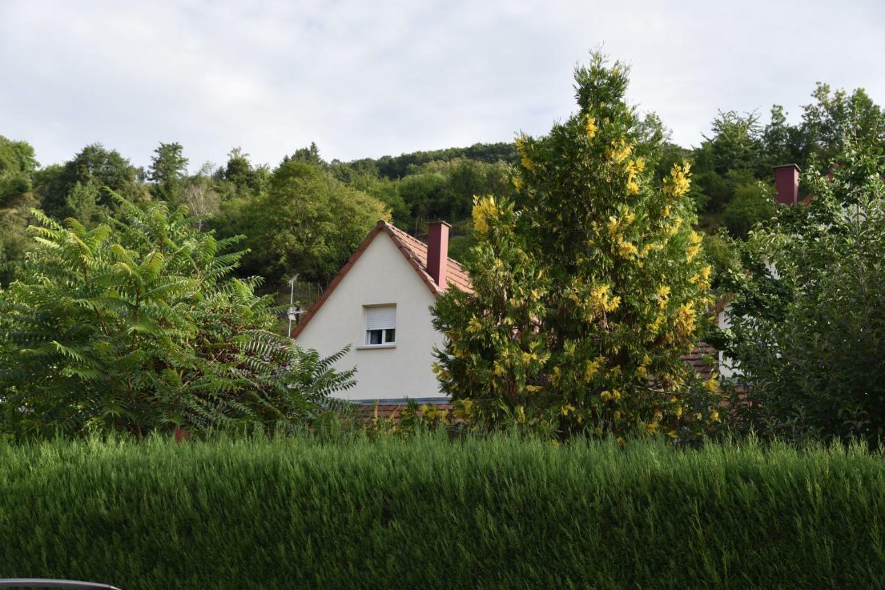 Le Cerisier Villa Kaysersberg-Vignoble Екстериор снимка